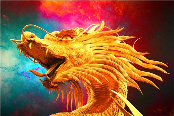 夢到種稻穀怎么說_周公解夢官網