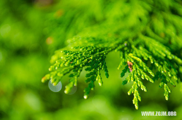 夢見死人用的紙做用品_周公解夢夢到死人用的紙做用品是什麼意思_做夢夢見死人用的紙做用品好不好_周公解夢官網