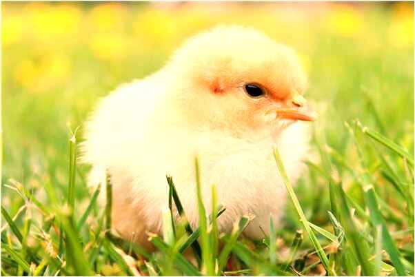 夢到了賣掉自己的舊衣服預示了什麼_周公解夢官網