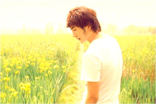 夢到了從棗樹上摘棗吃是吉兆嗎?_周公解夢官網