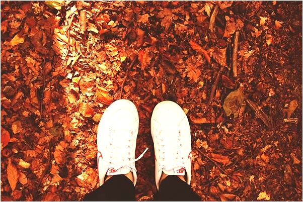 夢到了水像噴泉是吉兆嗎?_周公解夢官網