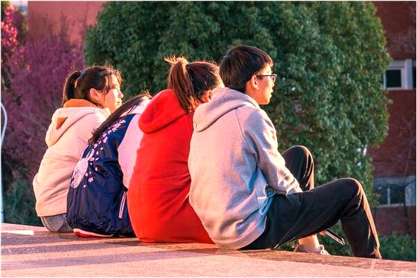 夢到了老羊撞人有什麼寓意嗎_周公解夢官網