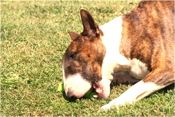 夢到門沒關是不是好的徵兆呢_周公解夢官網