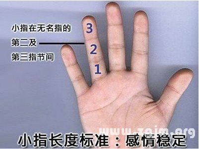 From the little finger length depends on your personality and marriage