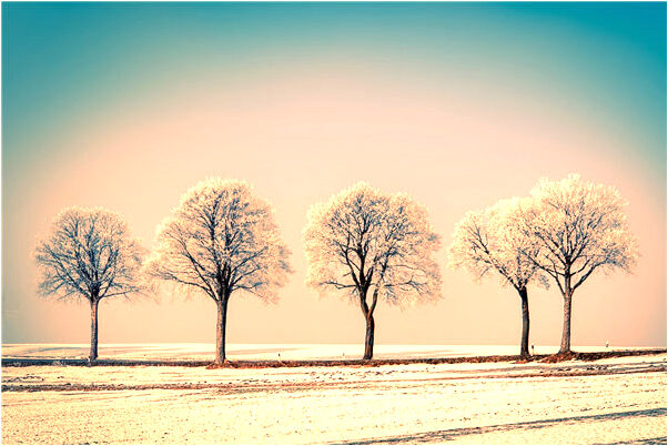夢到下雨走在泥濘的路上是吉兆嗎?_周公解夢官網