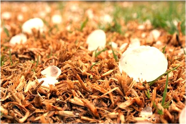 夢到戒指碎成兩半是什麼兆頭_周公解夢官網