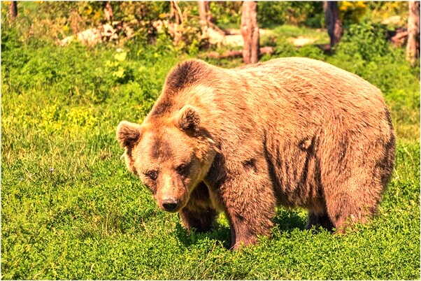 夢見女朋友不是原來那個意味著什麼_周公解夢官網