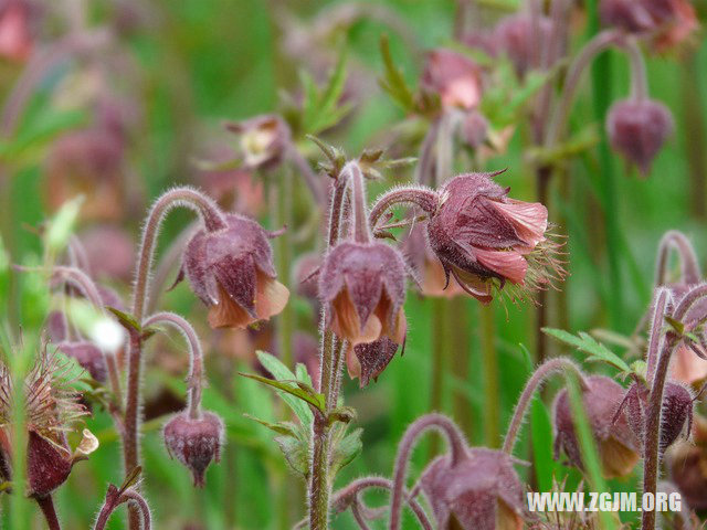 夢見被砍死了_周公解夢夢到被砍死了是什麼意思_做夢夢見被砍死了好不好_周公解夢官網