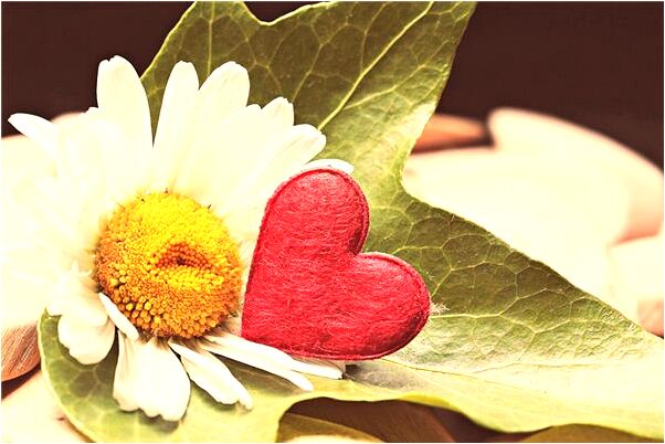 夢到自己長一臉麻子是什麼預兆？_周公解夢官網