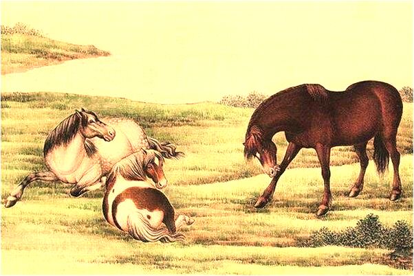 夢見劃鳳舟是啥預兆_周公解夢官網