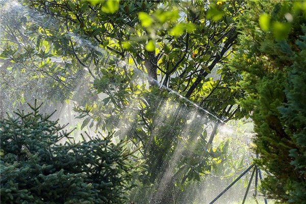 夢到了澆地水有什麼意義嗎_周公解夢