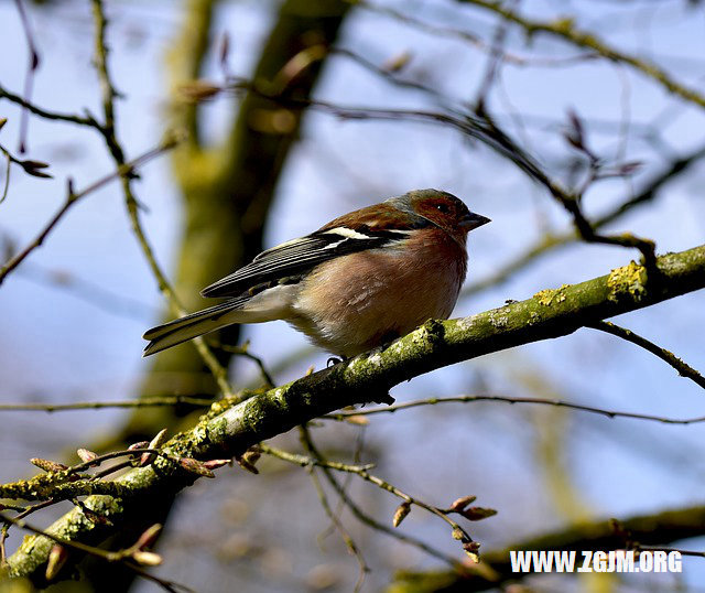 夢見女人生小孩_周公解夢夢到女人生小孩是什麼意思_做夢夢見女人生小孩好不好_周公解夢官網