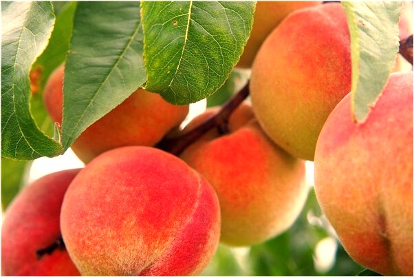 夢到了和家人燒黃紙預示什麼_周公解夢官網