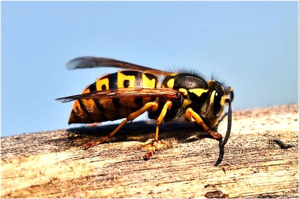 夢見自己跟好多人在水裡有什麼預兆_周公解夢官網