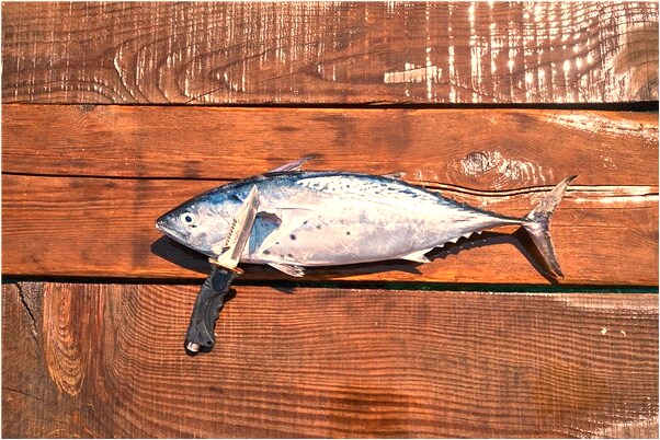 夢到了家裡下雨被水淹很深會是什麼預兆_周公解夢官網