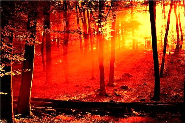 夢到金器送給我的卻是偷來的是什麼啟示_周公解夢官網