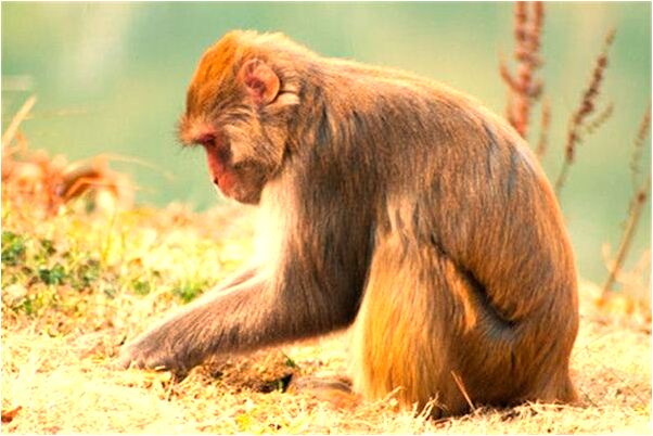 夢到了久未見面的男友的預兆_周公解夢官網