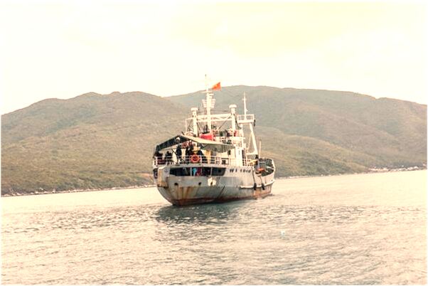 夢到室內打羽毛球會是什麼預兆_周公解夢官網