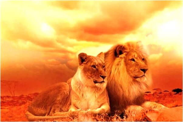 夢到墳墓電影錄音機會是什麼預兆_周公解夢官網