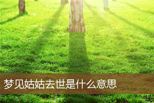 夢見姑姑去世是什麼意思_周公解夢