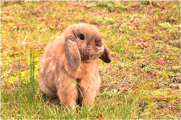 夢到了和別的女人洗澡預示什麼_周公解夢官網
