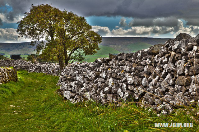 夢見沖大便_周公解夢夢到沖大便是什麼意思_做夢夢見沖大便好不好_周公解夢官網