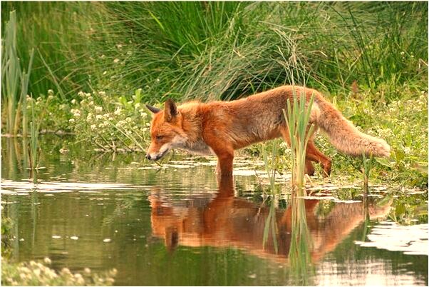 夢到結婚沒有結成是凶兆還是吉兆_周公解夢官網