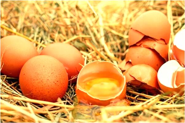 夢見看著自己車撞了後逃跑有什麼意義嗎_周公解夢官網