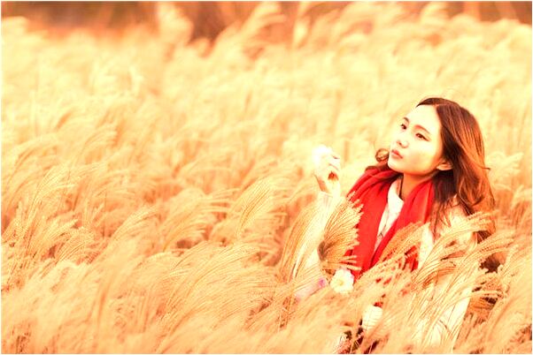 夢到了校園槍擊案預兆了什麼嗎_周公解夢官網