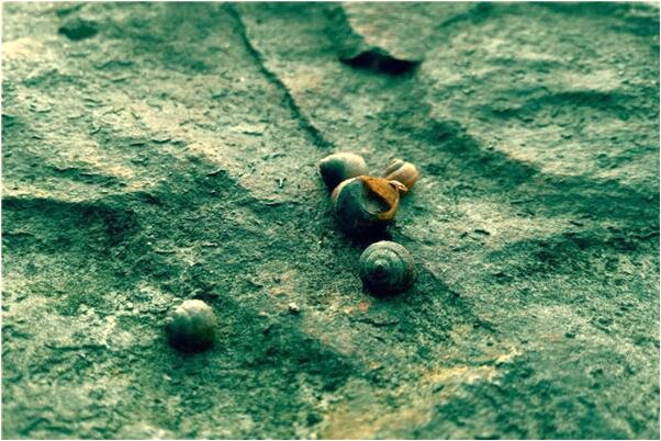 夢見上樓沒有樓梯下來是不是好的徵兆呢_周公解夢官網