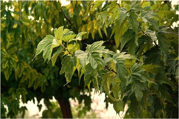 夢見女人小男孩恨自己是咋回事_周公解夢官網