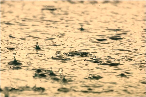 夢到自己的侄女要來我這兒上學是好是壞_周公解夢官網