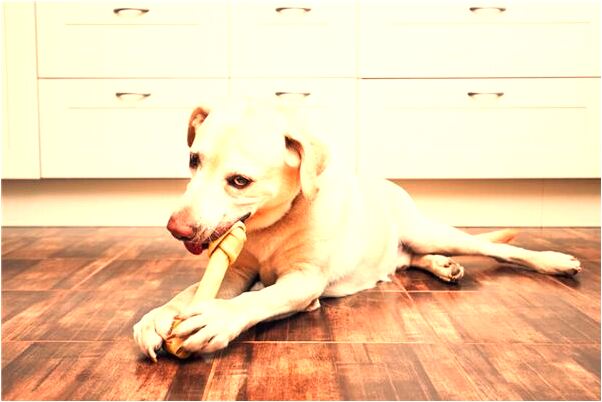 夢到好朋友來下雪代表什麼_周公解夢官網