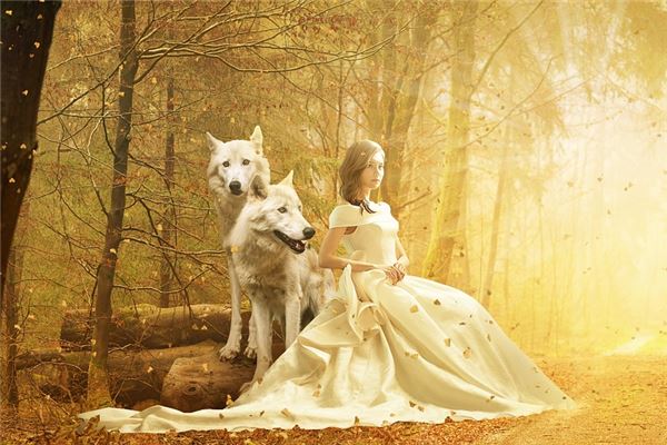 什麼是夢的象徵語_周公解夢