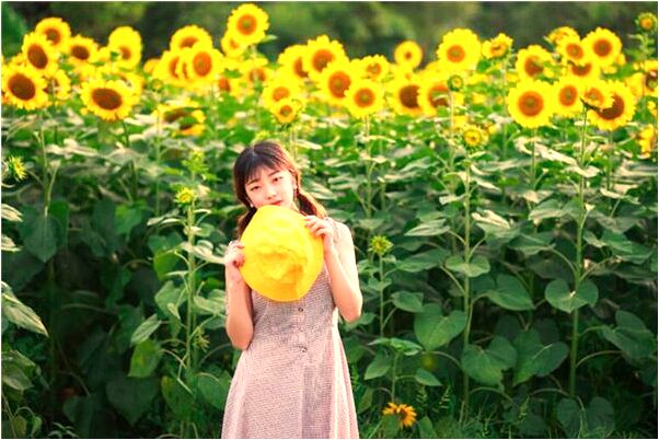 夢到了朋友買彩中獎了的預兆_周公解夢官網