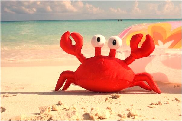 夢到老公想做愛是凶兆還是吉兆_周公解夢官網