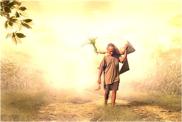 夢到自己家附近都是垃圾有什麼寓意嗎_周公解夢官網