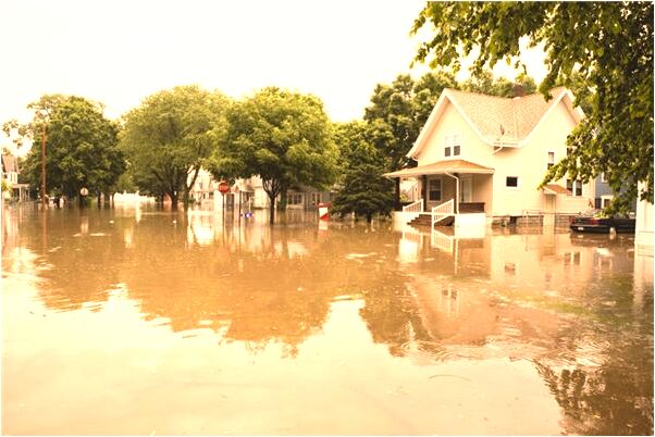 夢到中國信鴿協會棚號號牌圖片意味著什麼_周公解夢官網
