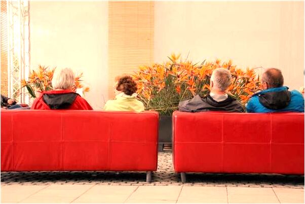 夢到了和姐姐打外甥女有什麼意義嗎_周公解夢官網