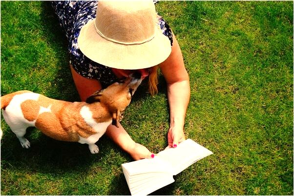 夢見自己偷錢包會是什麼預兆_周公解夢官網