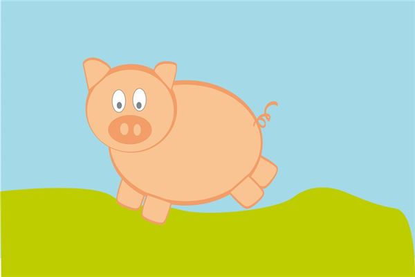 屬豬今年運勢_十二生肖