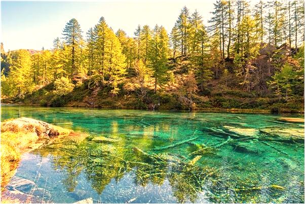 夢到自己得樂絕症有什麼寓意嗎？_周公解夢官網