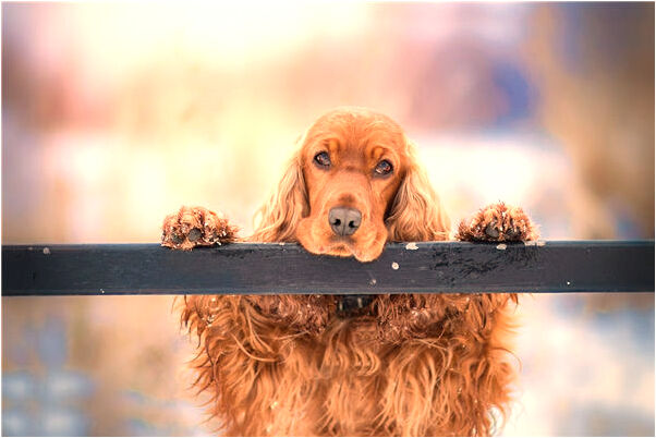夢見自己不同的死法是凶兆還是吉兆_周公解夢官網