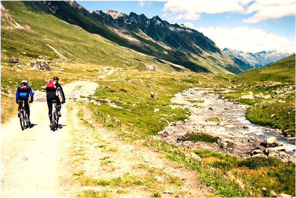 夢到魚黃鱔蛇會有什麼預兆_周公解夢官網