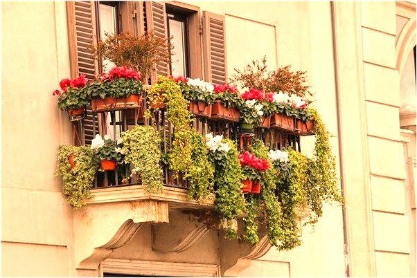 夢到男朋友一家人洗澡有什麼預兆_周公解夢官網