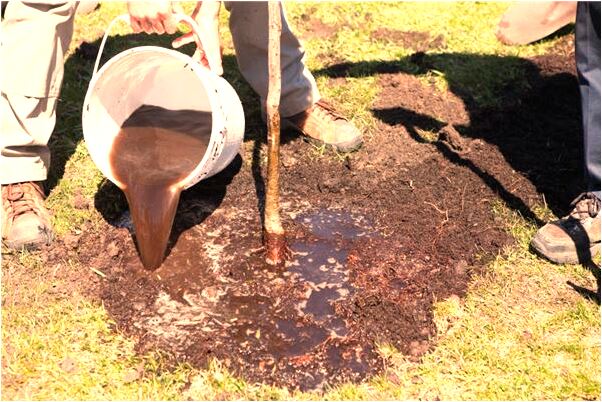 夢到了我弟弟受了重傷快死了代表著什麼？_周公解夢官網