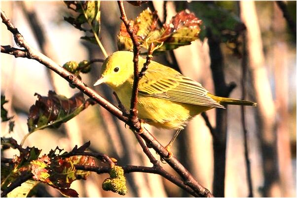 夢見在樓梯間坐著是吉兆嗎?_周公解夢官網