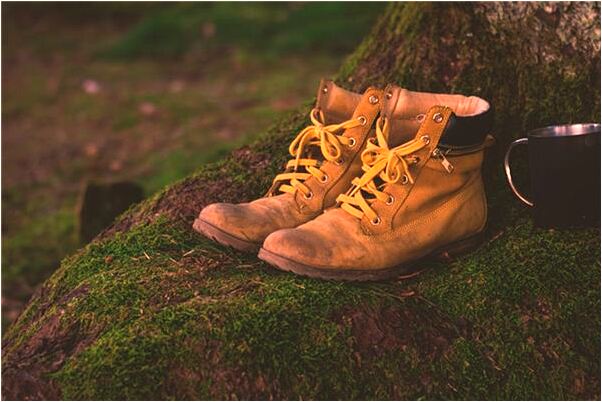 夢到自己和很多可愛小狗是好的徵兆嗎_周公解夢官網