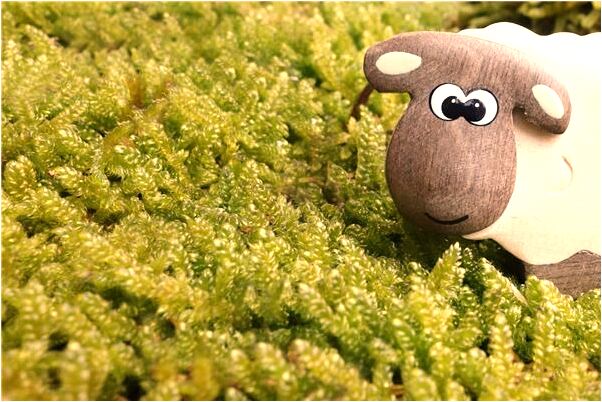 夢見嘴裡吐出很多紅色的蟲子有什麼預兆_周公解夢官網