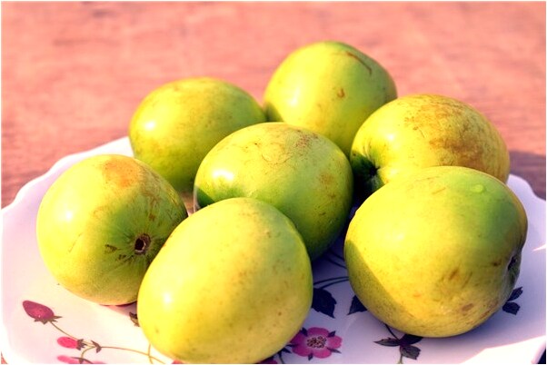 夢到左旋肉鹼露卡素預示什麼_周公解夢官網